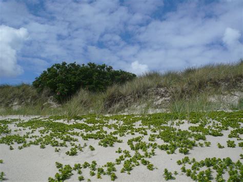 Beach,sylt,north sea,free pictures, free photos - free image from needpix.com