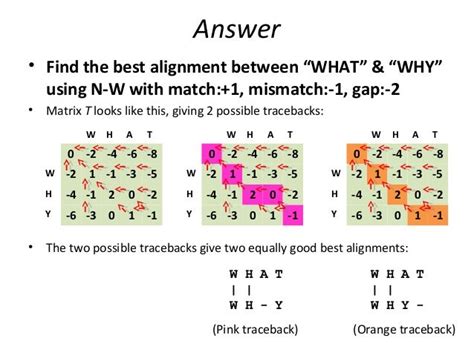 The Needleman Wunsch algorithm