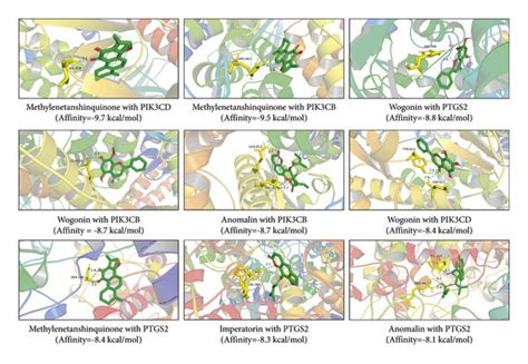 Molecular docking visualization of key components and key targets ...