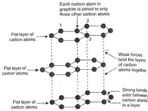 [Solved] The different layers in graphite are held together by-