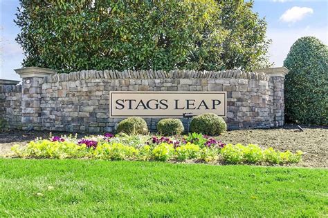 Stags Leap Community