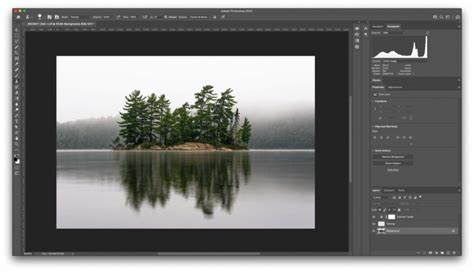 Photoshop CC vs Photoshop Elements: Which Do You Need?