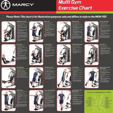 Printable Home Gym Exercise Chart