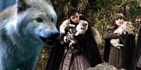 Game of Thrones: The Direwolves Foreshadowed Every Stark's Fate ...