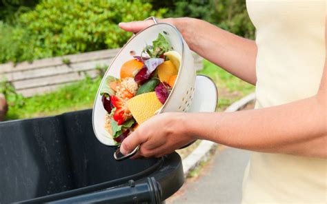 Stop Wasting Food! - Parade