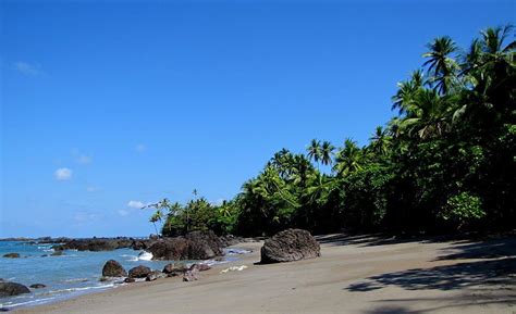 Parque Nacional Corcovado Costa Rica - Wikipedia http://es.wikipedia.org/wiki/Costa_Rica #Costa ...