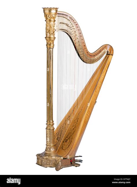 Western Musical Instruments Harp