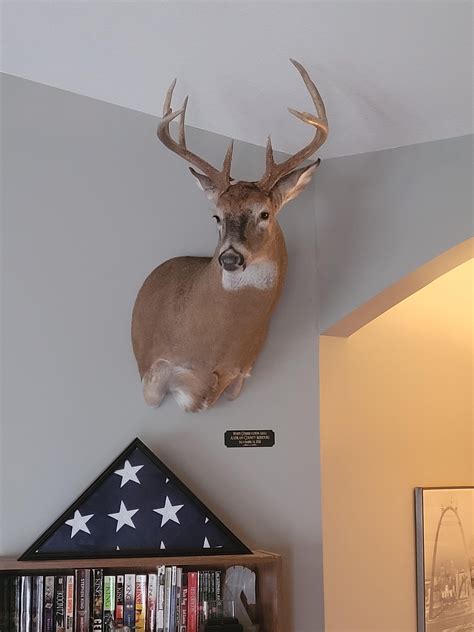 At long last, my 2020 buck is home : r/Hunting