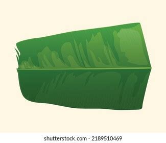 Banana Leaf Used Serve Sadya Kerala Stock Vector (Royalty Free ...