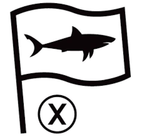 Shark activity - Port Alfred beaches closed