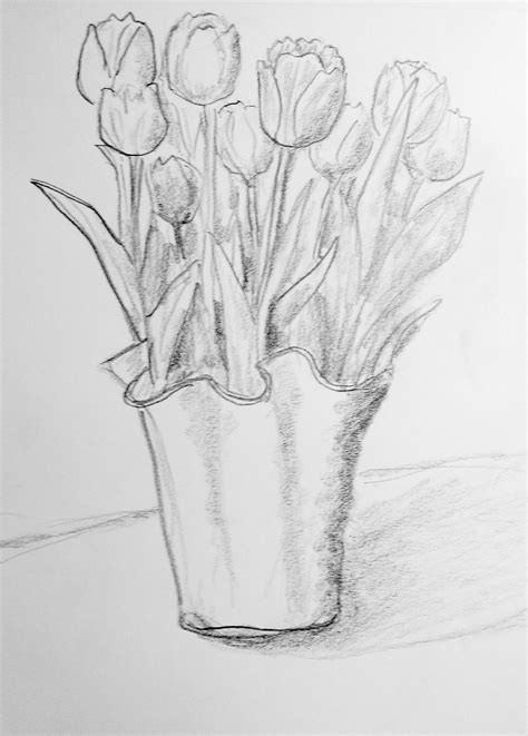 Tulips #drawing #pencil | Nature art painting, Flower drawing, Tulip drawing