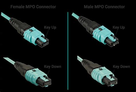 Overview of MPO Connectors and MTP Variants