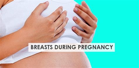 9 Common Breast Changes in Pregnancy | Stork Mama