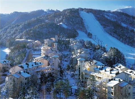 5 places must-go for ski and winter sports in South Korea! ~ LeX Paradise