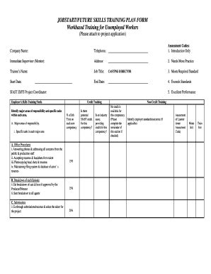 Fillable Online JOBSTARTFUTURE SKILLS TRAINING PLAN FORM Workbased Fax Email Print - pdfFiller