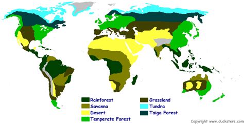 Science for Kids: World Biomes and Ecosystems