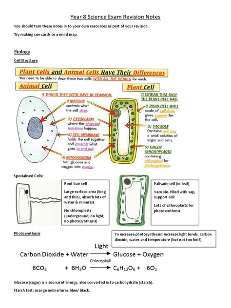 Year 8 Science Exam Revision Notes | Metals | Human Eye