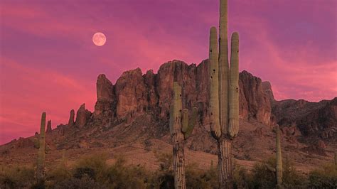 Pin by Kayleigh Post on Do this in graphite | Arizona sunset, Desert ...