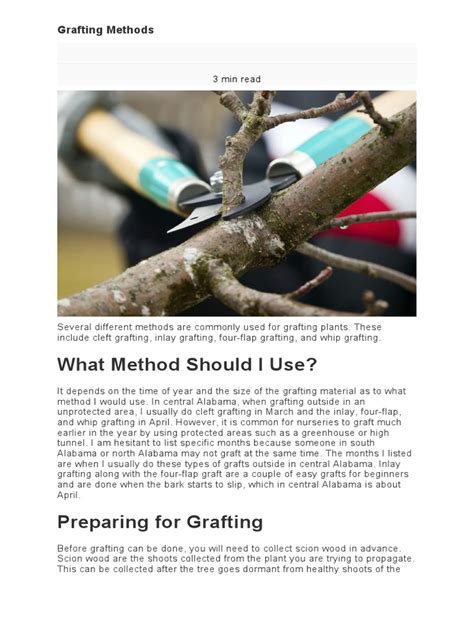 Grafting Methods | PDF