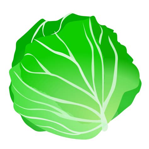 Cabbage Clip Art Transparent HQ PNG Download | FreePNGImg