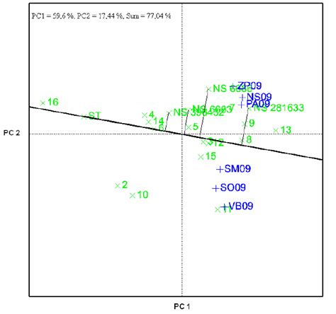 GGE biplot of 20 maize hybrids tested in 6 locations in 2009 | Download ...