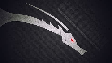 Kali Linux Wallpaper 1920x1080 - WallpaperSafari