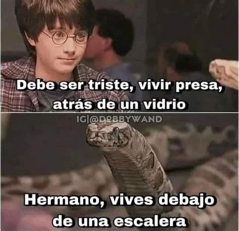 Los mejores memes de Harry Potter: Cuando la magia se convierte en ...