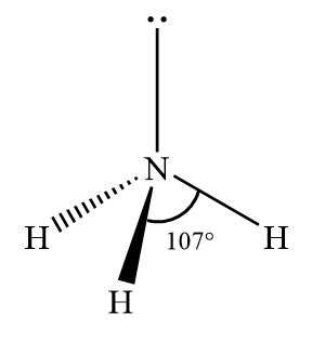 Arrange the following species in order of increasing bond angle. a. NF3 b. NCl3 c. NBr3 d. NI3 ...