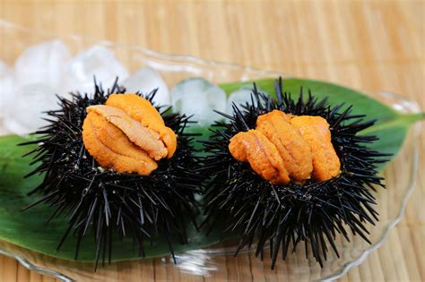 Sushi Spotlight: Sea Urchin (Uni) - Osaka Japanese Bistro