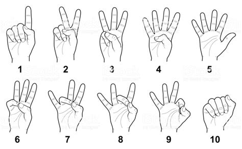 Hand sign language numbers collection - vector line illustration | Hand ...