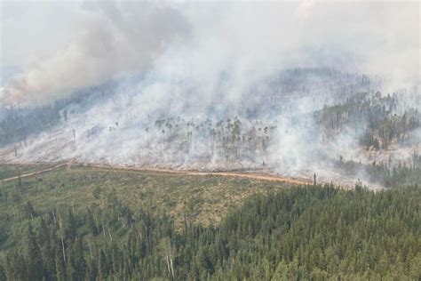 Canada wildfires burn a record-breaking 10 million hectares