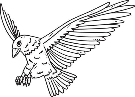 Red Tailed Hawk Coloring Pages