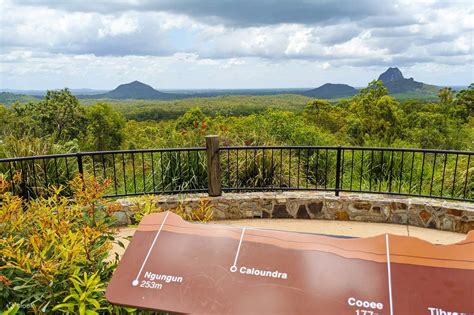 Noosa, Aussie Animals & Glass House Mountains from Brisbane - Klook United Kingdom