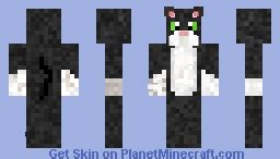 black cat Minecraft Skin