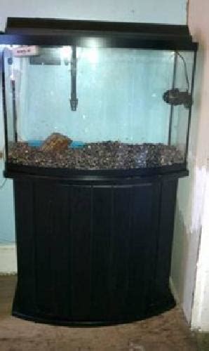 $200 36 gallon bow front aquarium w/stand for sale in Cincinnati, Ohio Classified | ShowMeTheAd.com