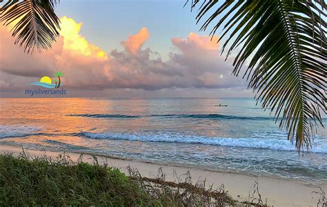 Silver Sands Jamaica Beach Images