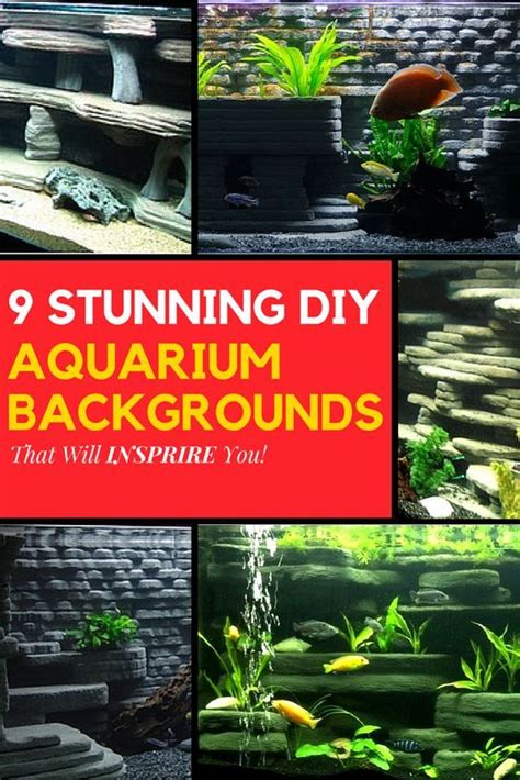9 DIY Aquarium Backgrounds You Can Start Today - Learn How | Diy aquarium, Aquarium backgrounds ...