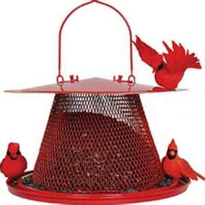 7 Best Bird Feeders for Cardinals [2022 Reviews & Guide] - Birdwatching ...