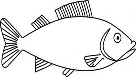 Free Fish Outline Image, Download Free Fish Outline Image png images ...