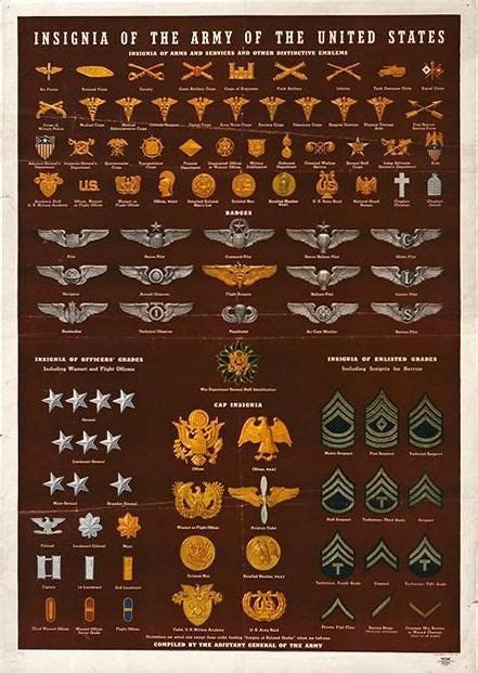 US ARMY WWII insignia | Military insignia, Military ranks, Military