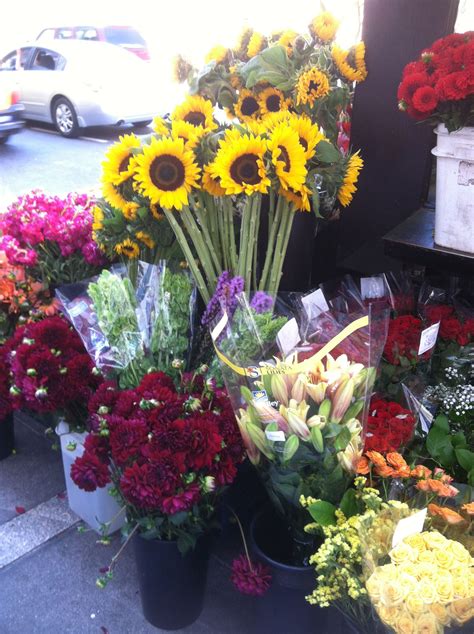 Flower market, San Francisco CA | Flower market, Flowers, Plants