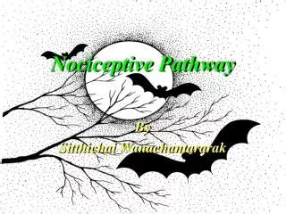 PPT - Figure 1 The nociceptive pain pathway PowerPoint Presentation, free download - ID:2715948