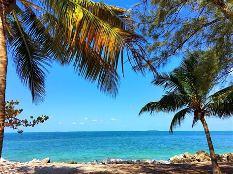 Top Islamorada Attractions: 8 Ways to Play in the Florida Keys