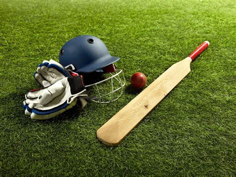 Cricket Wallpapers on WallpaperDog