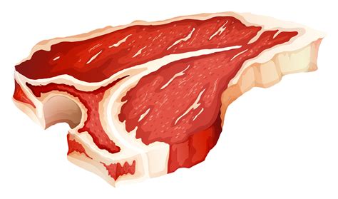 Tbone meat 294932 Vector Art at Vecteezy