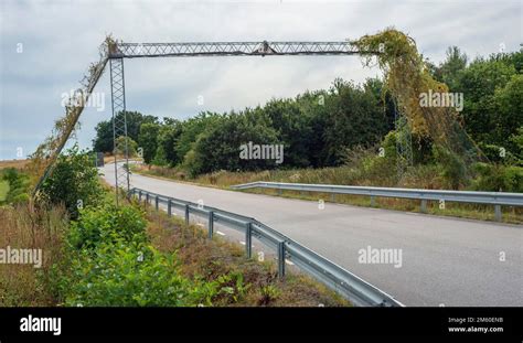 Bridge for an endangered species of hazel dormice (Muscardinus avellanarius) over a country road ...