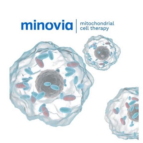 Minovia Therapeutics - YouTube