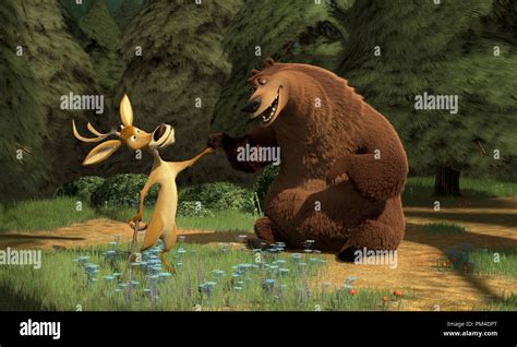 Boog elliot open 2006 hi-res stock photography and images - Alamy