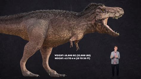 Why Tyrannosaurus Rex Had Such Tiny Arms