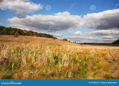 Autumn meadow stock photo. Image of background, morning - 9728276